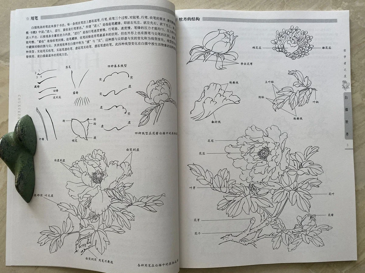Chinese Painting Sumi-e Beginner Outline Sketch Tattoo Reference Book Peony Line Drawing