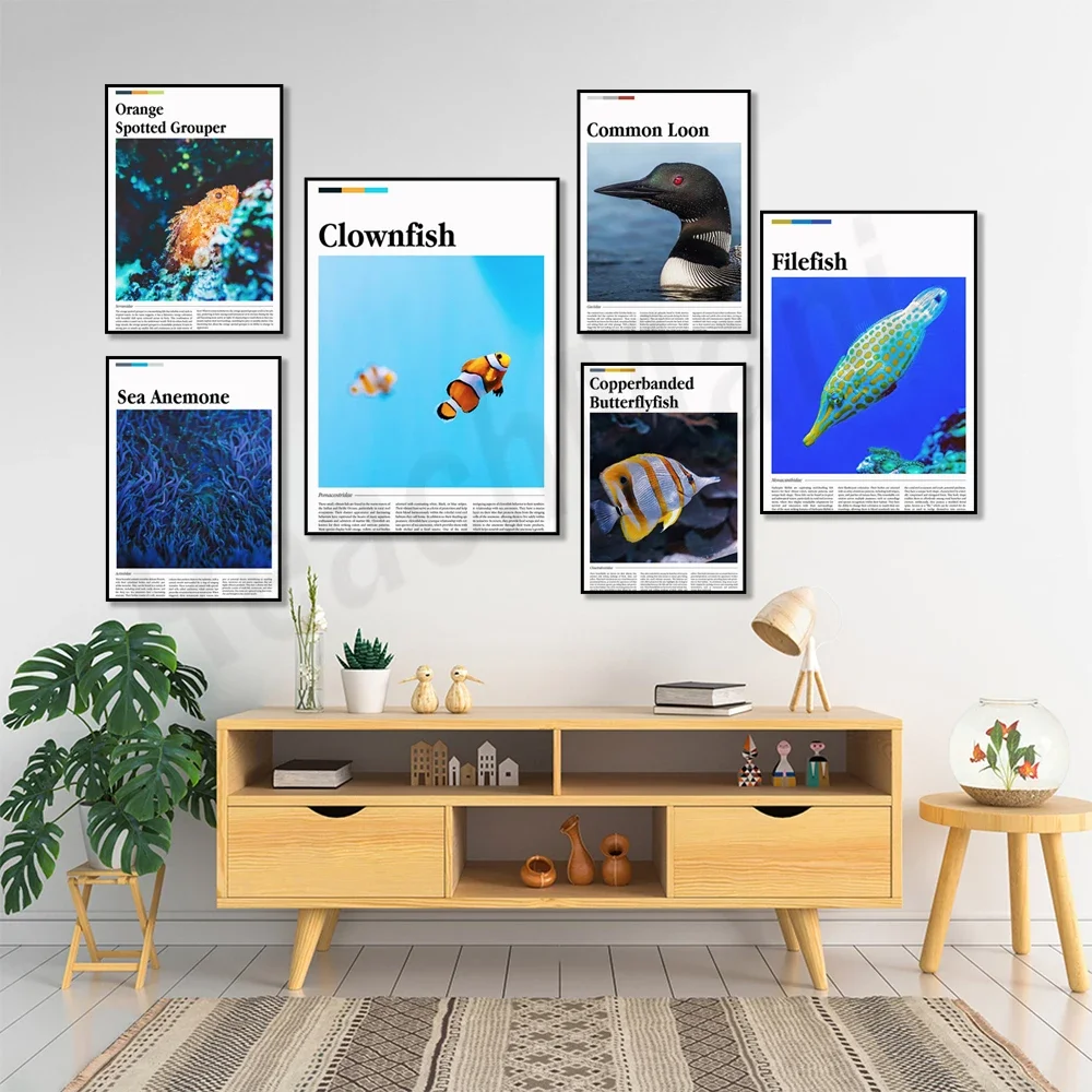 Orange spotted grouper, copperband butterfly fish, filet fish, common loon, bat fish, yellow box fish, seal marine life poster