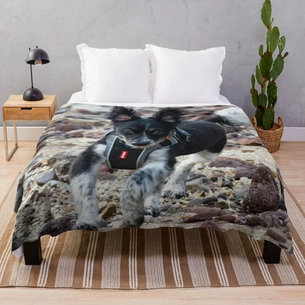 

Bouncer Throw Blanket Plush Fuzzy Cozy Blanket for Couch Sofa