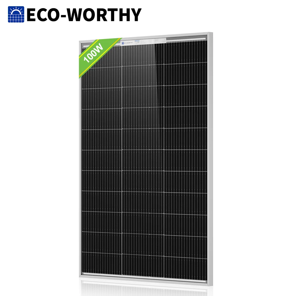 ECO-WORTHY 100 Watt…