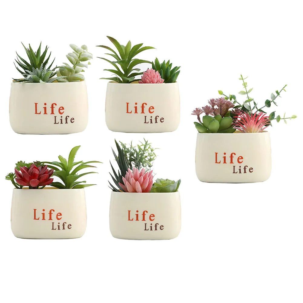 

Artificial Succulent Plants in Modern Cement Pots Stylish Home Decor for Any Setting Allergy Friendly and Low Maintenance