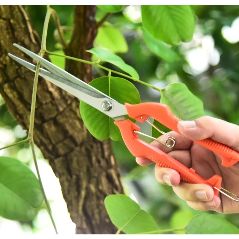 Stainless Steel Garden Pruning Shears Portable Gardening Tool Hand Tools Fruit Picking Scissors Thinning Bonsai Scissors