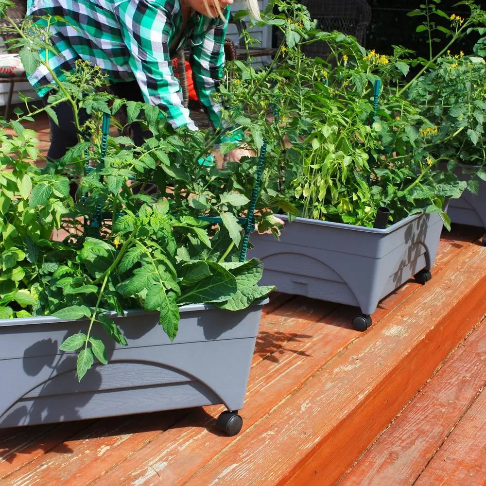 

City Picker Raised Bed Grow Box – Sel Watering and Improved Aeration – Mobile Unit with Casters -