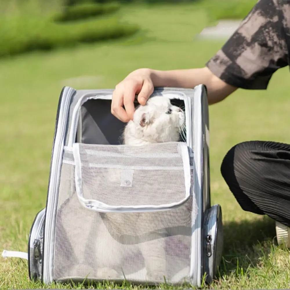 Mochilas para gatos con apertura de malla, ventana frontal, cómoda bolsa de hombro para transportar gatos, mochila plegable y transpirable para gatos