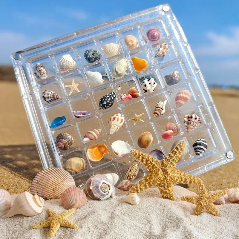 Creative Magnetic Seashell Display Box 36grids Transparent for Pills Manicures Jewelry Acrylic Squares Storage Box Organizer