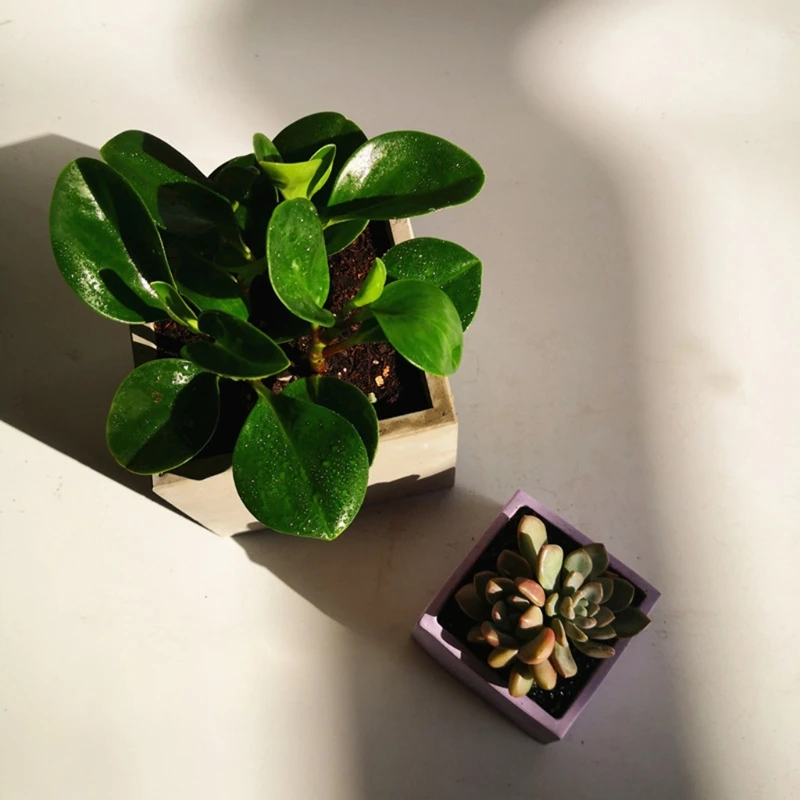 Epoxy Mold Dish Flo…