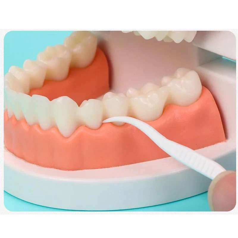 Escolhas descartáveis de fio dental, limpeza entre os dentes, escova interdental, Floss Picks, oral e higiênico, Pacote econômico