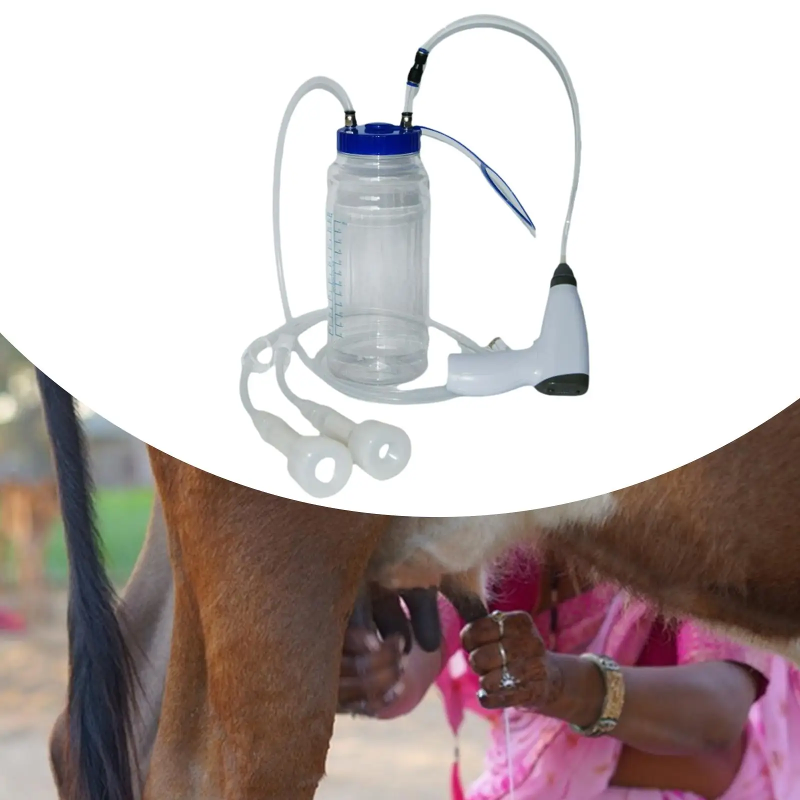 

Sheep Milking Machine Accessories 2L for Sheep Cow Goat Household Dairy Farm