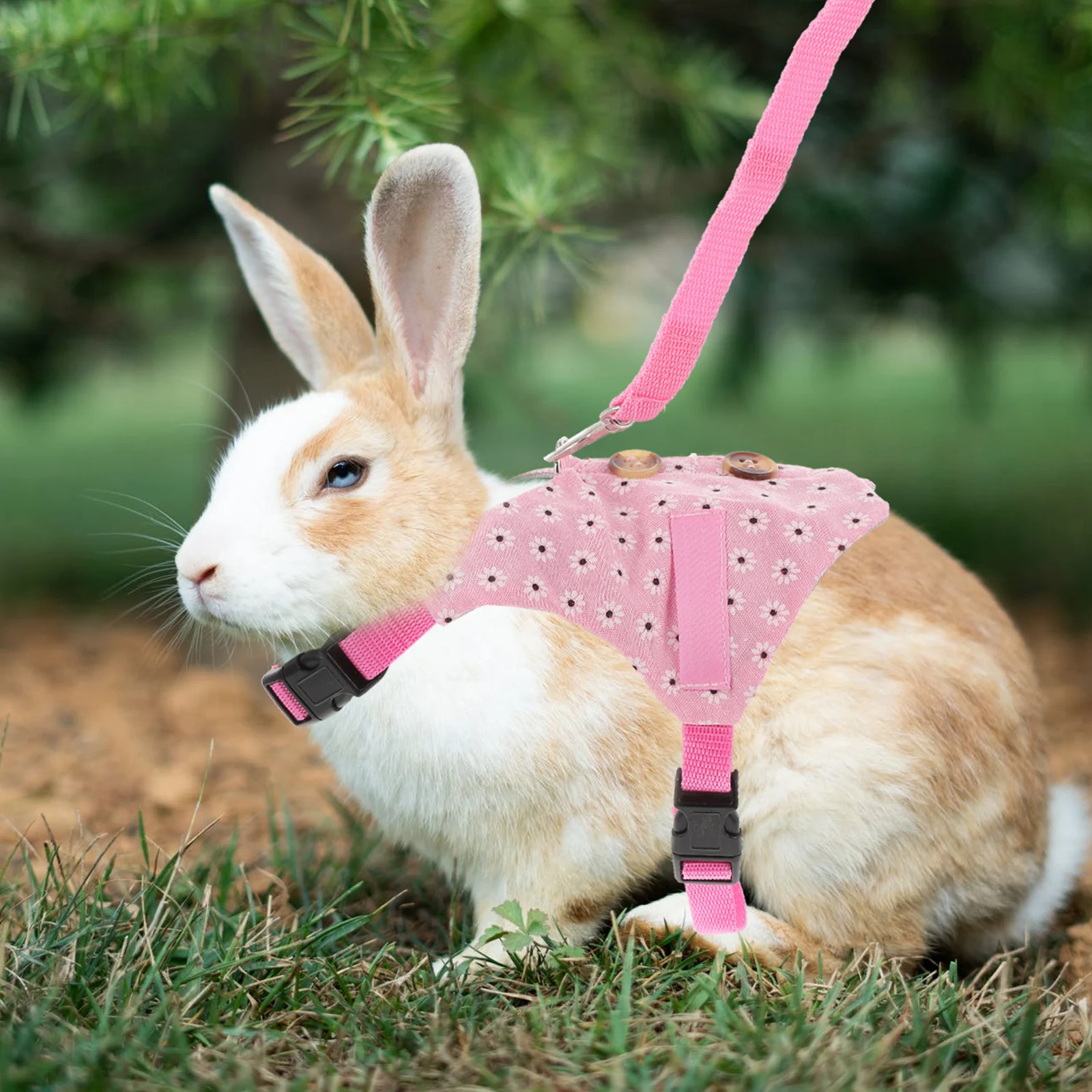 

3 Sets Rabbit Vest Rope Pet Harness and Leash Clothes Suit Bunny Outfits for Rabbits Gentleman
