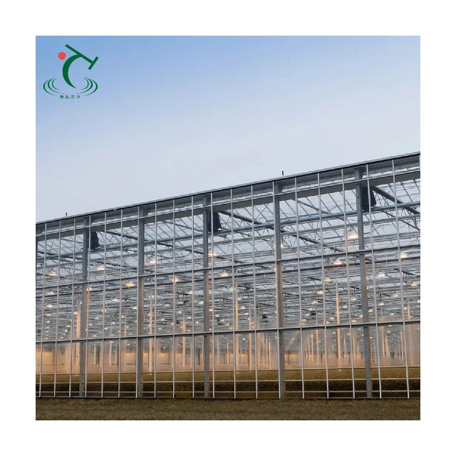 

Customized greenhouseVenlo Glass Greenhouse Complete Set Multi-Span Arch Modern Agricultural Green House with Hydroponic Growing