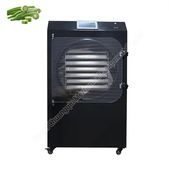 Lyofilizátor potravin Guangzhou Cena lyofilizátoru 10 nejlepší prodej lyofilizace - №9