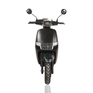SINSKI-SCOOTER Hochgeschwindige Elektrik mit Scheibenbremse, 1000 W, 1500W, 2000W, CKD 12 Hauptverkaufsmota Scooter Electric - №7