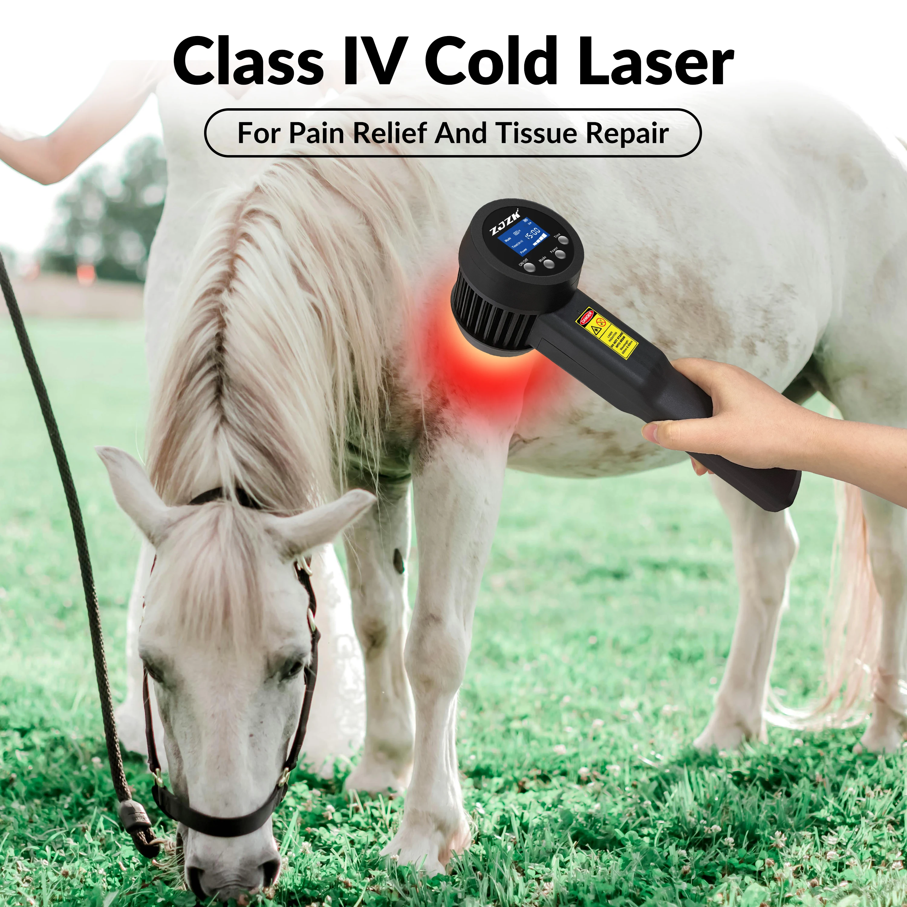 

ZJZK Cold Laser Therapy For Peripheral Neuropathy Class Iv Near Me 650nm 808nm Laser Health Physiotherapy Leg Pain Ulcers