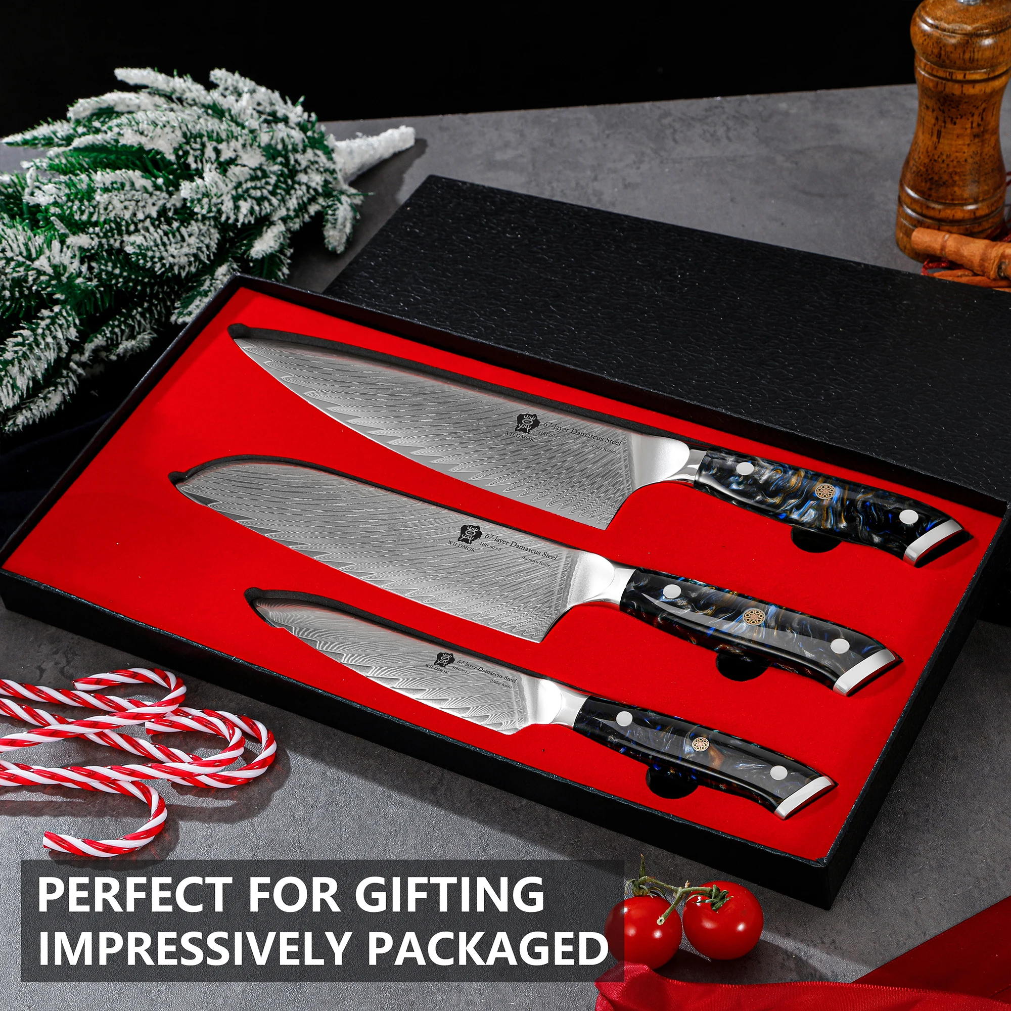 WILDMOK Damascus Kitchen Knife Set, Set of 3 PCS Professional Damascus VG10 Steel Chef Knife Set with Full Tang Resin Handle