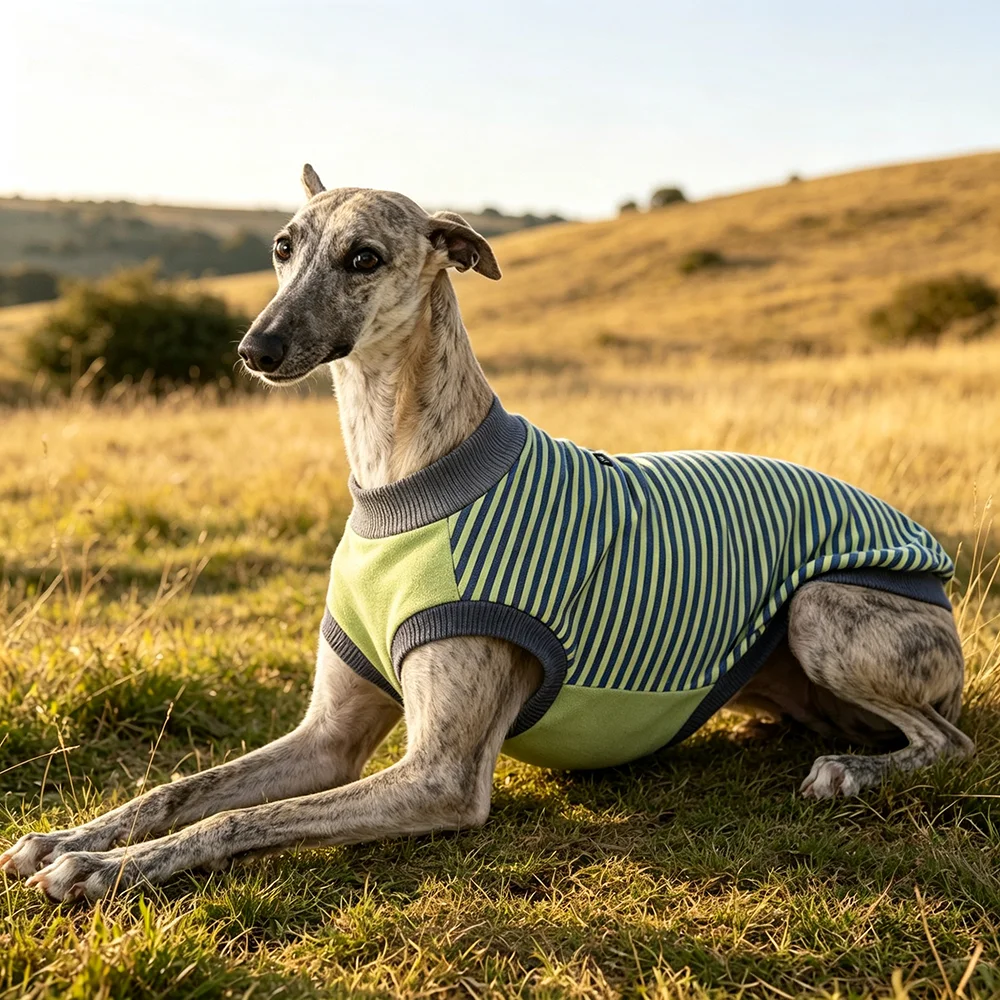 Fashion Striped Pet Dog Sleeveless Vest Comfort Stretchy Tank Shirt for Italian Greyhound Slim Dogs Daily Outdoor Dog Apparel