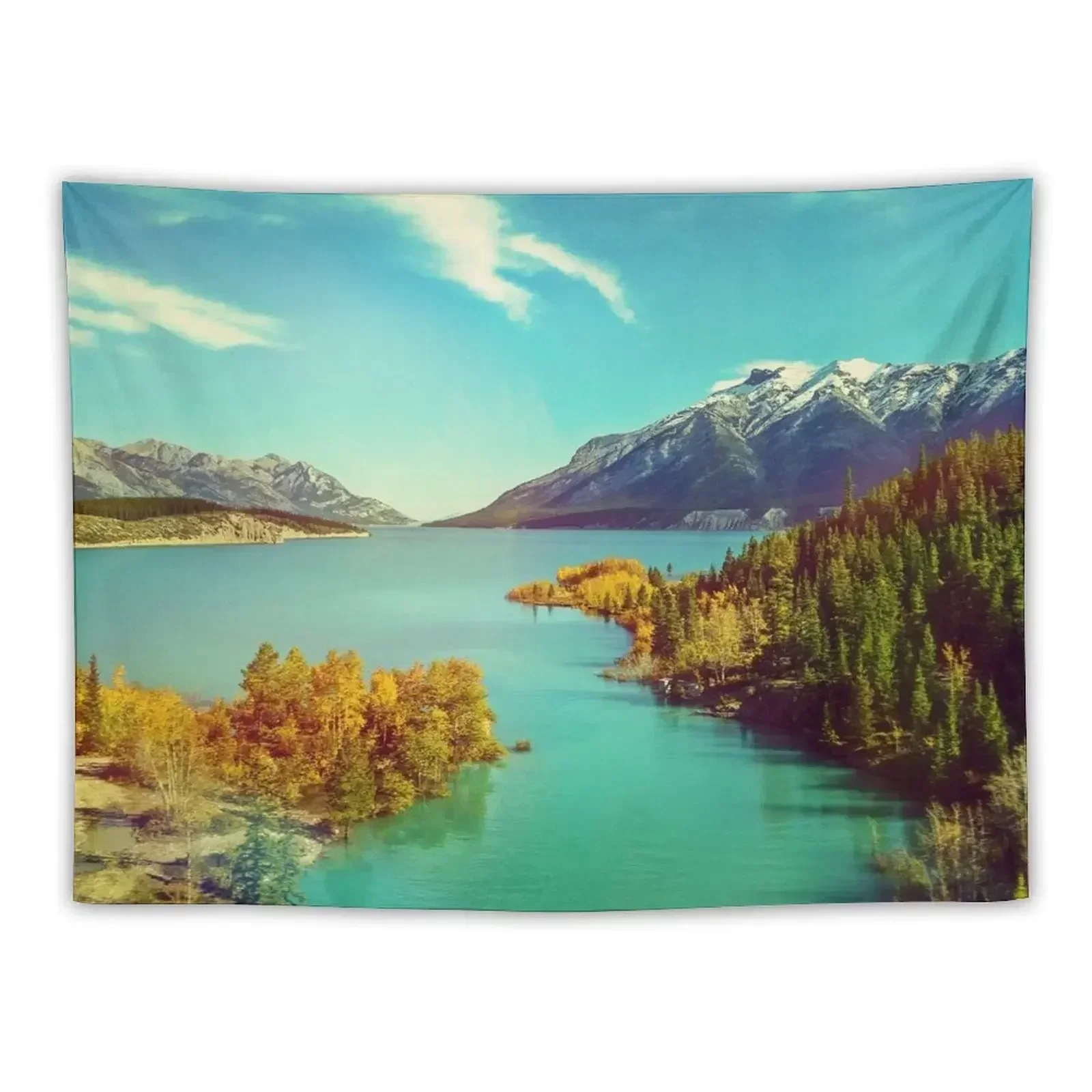 

Abraham Tapestry Wall Deco Wall Hanging Wall Decor For Bedroom Tapestry