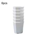6pcs