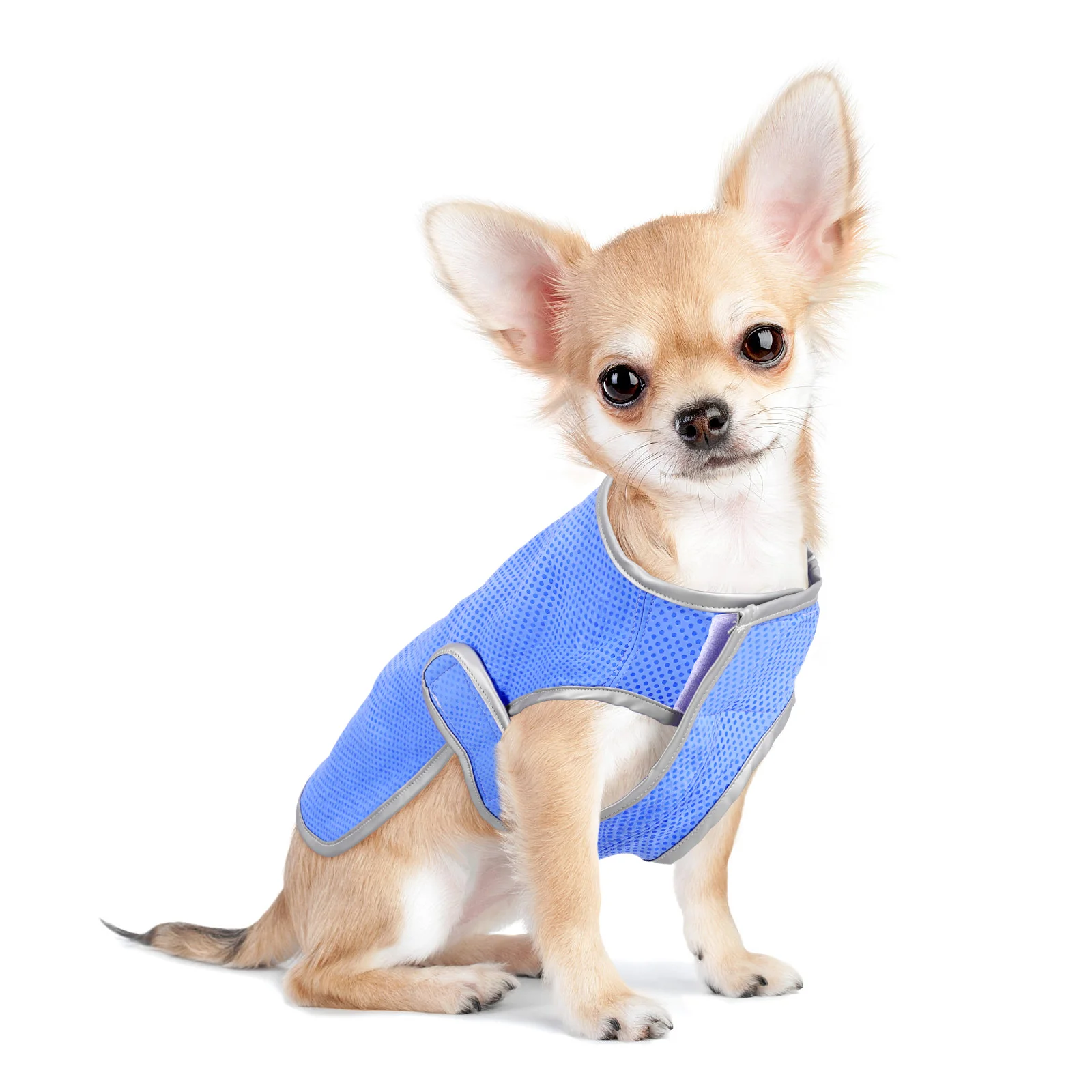 

POPETPOP Puppy Cooling Vest Dog Cooling Shirt Mesh Cooling Waistcoat Puppy Clothes (Size S) dog cooler vest