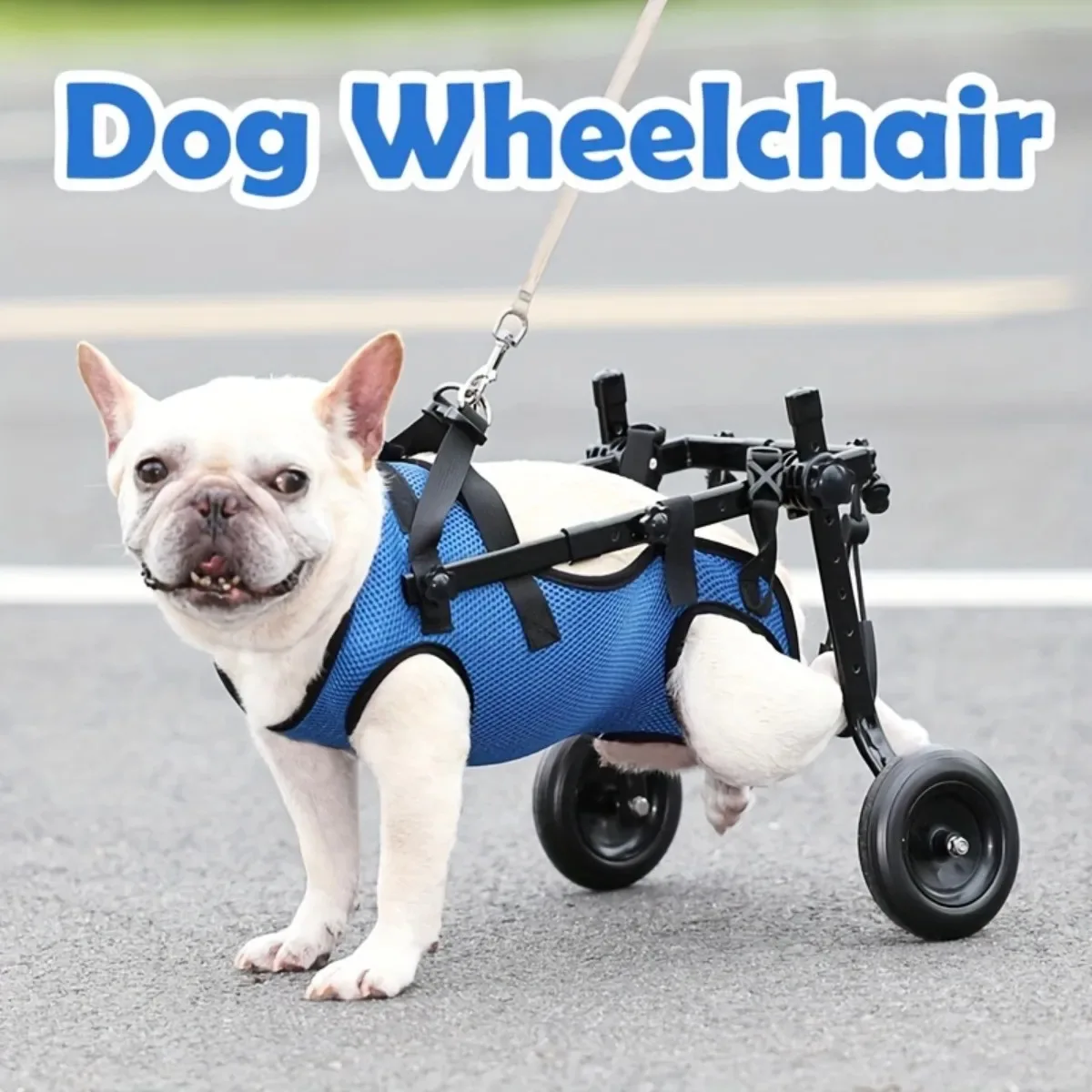 Dog Wheelchair for Back Legs, Adjustable Support for Small Dogs, Lightweight Design Helps Small Dogs Maintain Mobility, Comfort