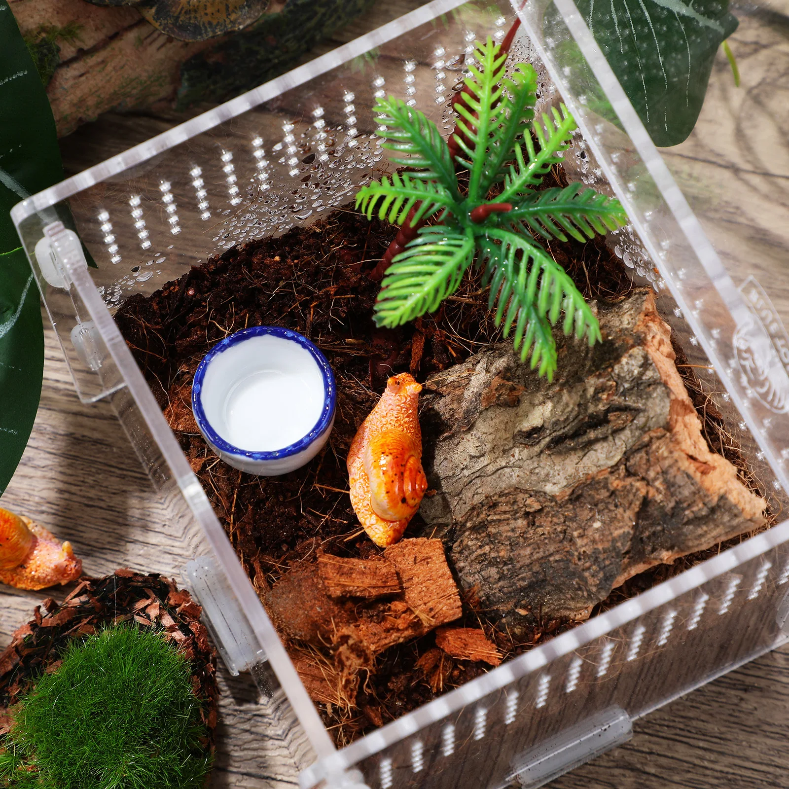 

12Pcs Ceramic Water Feeder Baby Reptile Accessories Unique Design Small Scorpion Drinking Containers Reptile Ceramic Basins