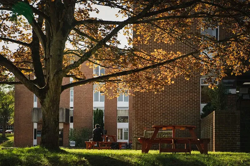 إطارات عجلات Mx2.15 بوصة 100*52 مللي متر لمقياس 1/16 Trxs Mini Maxx Xrt E-revo RLAARLO MJX HSP Losi 1/18 Mini LM للسباق على الطرق الوعرة