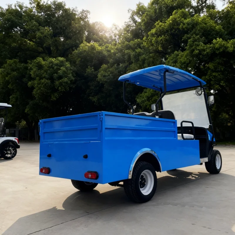 جديد بطارية تعمل بالطاقة الكبار عربة جولف كهربائية MacPherson تعليق 2 الركاب عربة شحن كهربائية قابلة للطي مع صندوق البضائع الخلفي