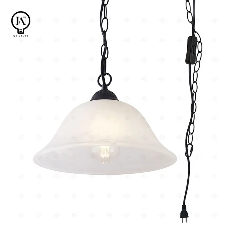 Traditional Plug or no Plug in Pendant Light Fixture Alabaster Glass Shade，Black Hanging Lamp ，for Kitchen Sink Garage Corner