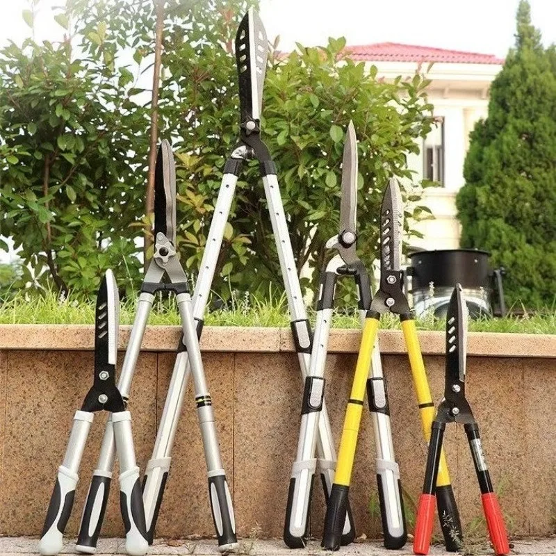 Trimming hedges, large scissors, flowers and trees, branches, green flowers, special pruning pliers for flowers