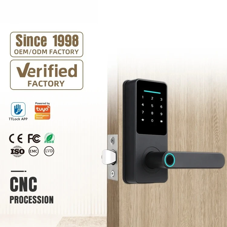 Digital Cerradura Inteligente Unlock Wifi Main Gate Tuya Ttlock Intelligent Fingerprint Intelligent Home Smart Door Lock