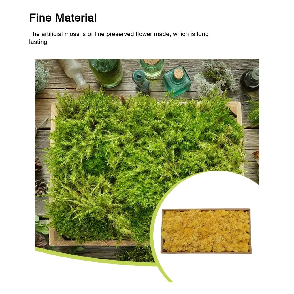 Preserved Flower Artificial Moss Decorative Solid Color Realistic Lichen