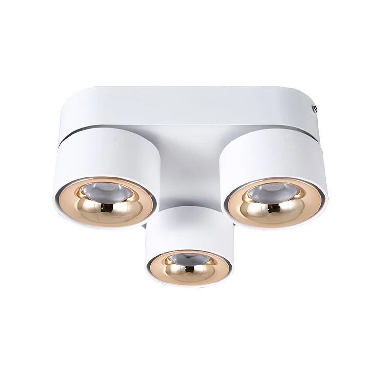 Imagem -03 - Dimmable Folding Cob Led Downlights de Teto Luzes Led de Teto Lâmpadas Rotativas Iluminação Interior ac 85265v 10w 15w