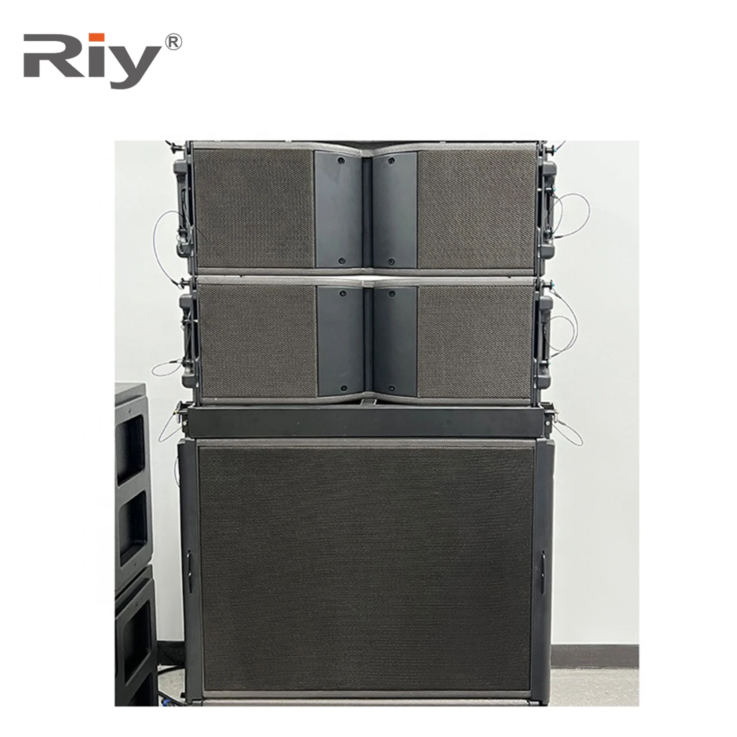 RIY-210 مكبر صوت احترافي مقاس 10 بوصات بنظام صوت خارجي ومكبر صوت للمسرح