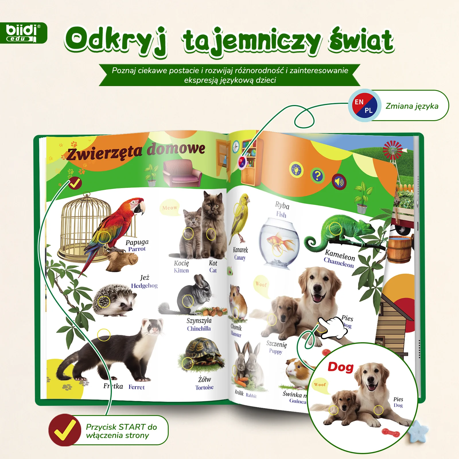 Интерактивная электронная книг – обзор и цена Kids Education Uk