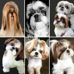 DIY 5D Tibetan Lion Dog Diamond Painting Kits for Beginners Adults Kids, Shih Tzu Dog Diamond Art Kits for Birthday Holiday Gift