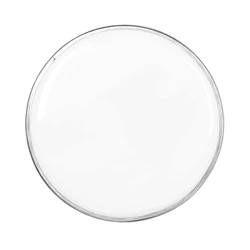 6 Inch  Drum Skin For Drums/Jazz Drum High Quality White Polyester Film Drums Skin Percussion Instrument Parts & Accessories