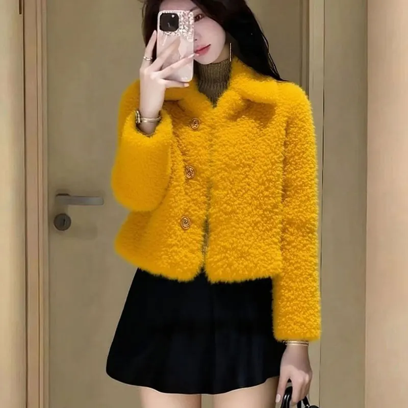 Women's Orange Plush Jacket Winter 2026 Elegant Short Chic Y2K Slim Fit Long-Sleeved Casual Outwear Warm Thick Fur Coat