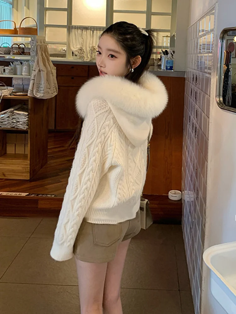 2026 New Women Spring Autumn Real Fox Fur Collar Hooded Cardigan Knitted Sweater Female Jacket Outerwear Cardigan Coat - view 3