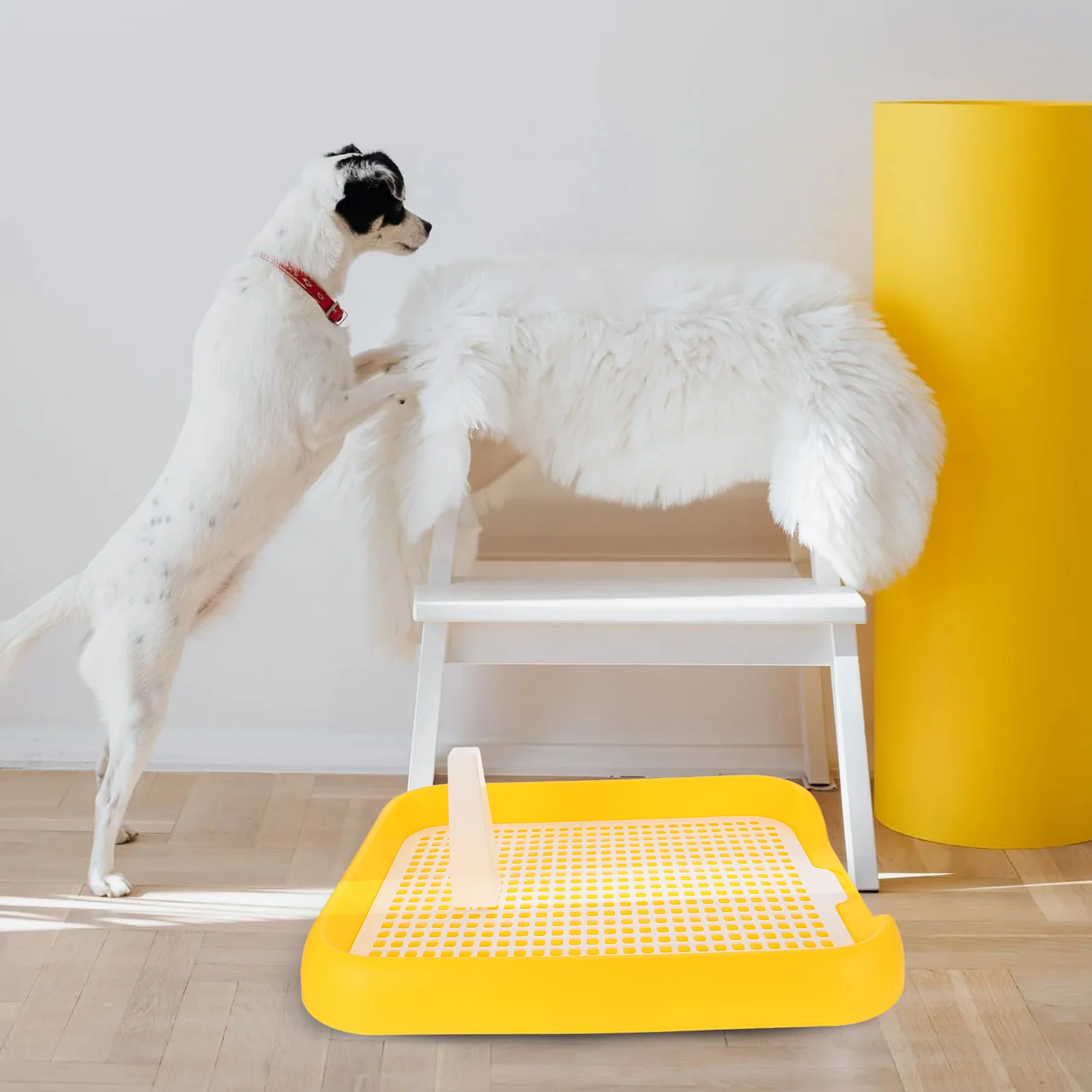 

Dog Toilet Puppy Potty Training Indoor Small Mesh Plastic Anti Slip Portable Pet Holder Grid Trash Tray Easy Durable
