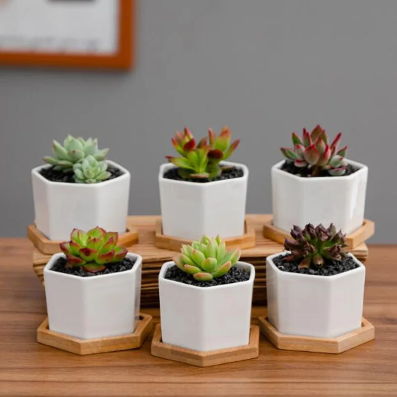 6Pcs/Set White Color Porcelain Fleshy Plant Pot Breathable Hexagon Flowerpot Office Desktop Ornament Home Garden Decor