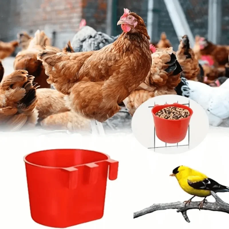 10pcs Chicken And Rabbit Feeders Suitable For Cages, Hanging Chicken Water Feeding Cups, Plastic Bird Feeder Seed Bowls