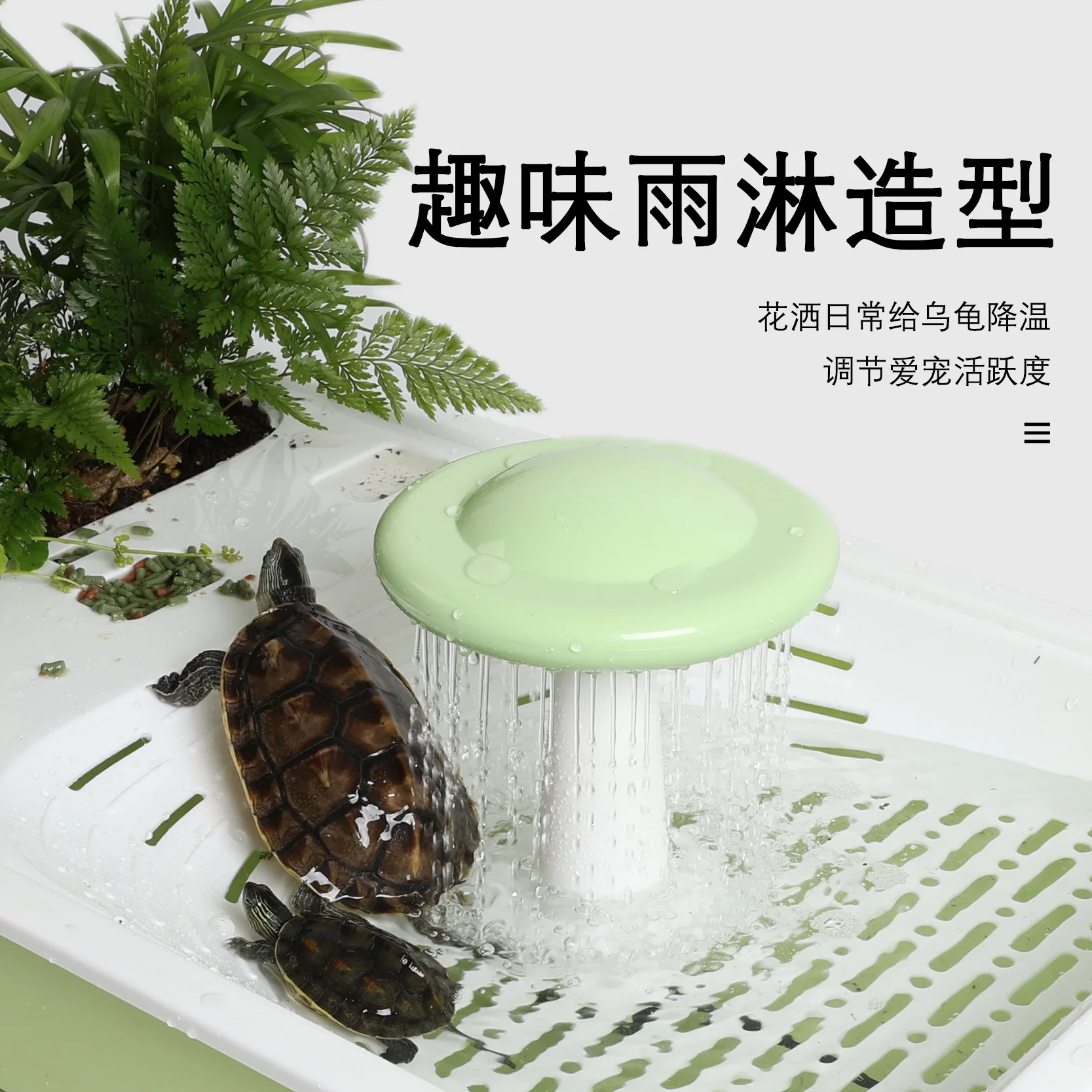 Turtle Special Tank Household Drying Platform Climbing Platform Anti-escape Separate Plastic Turtle Feeding Box