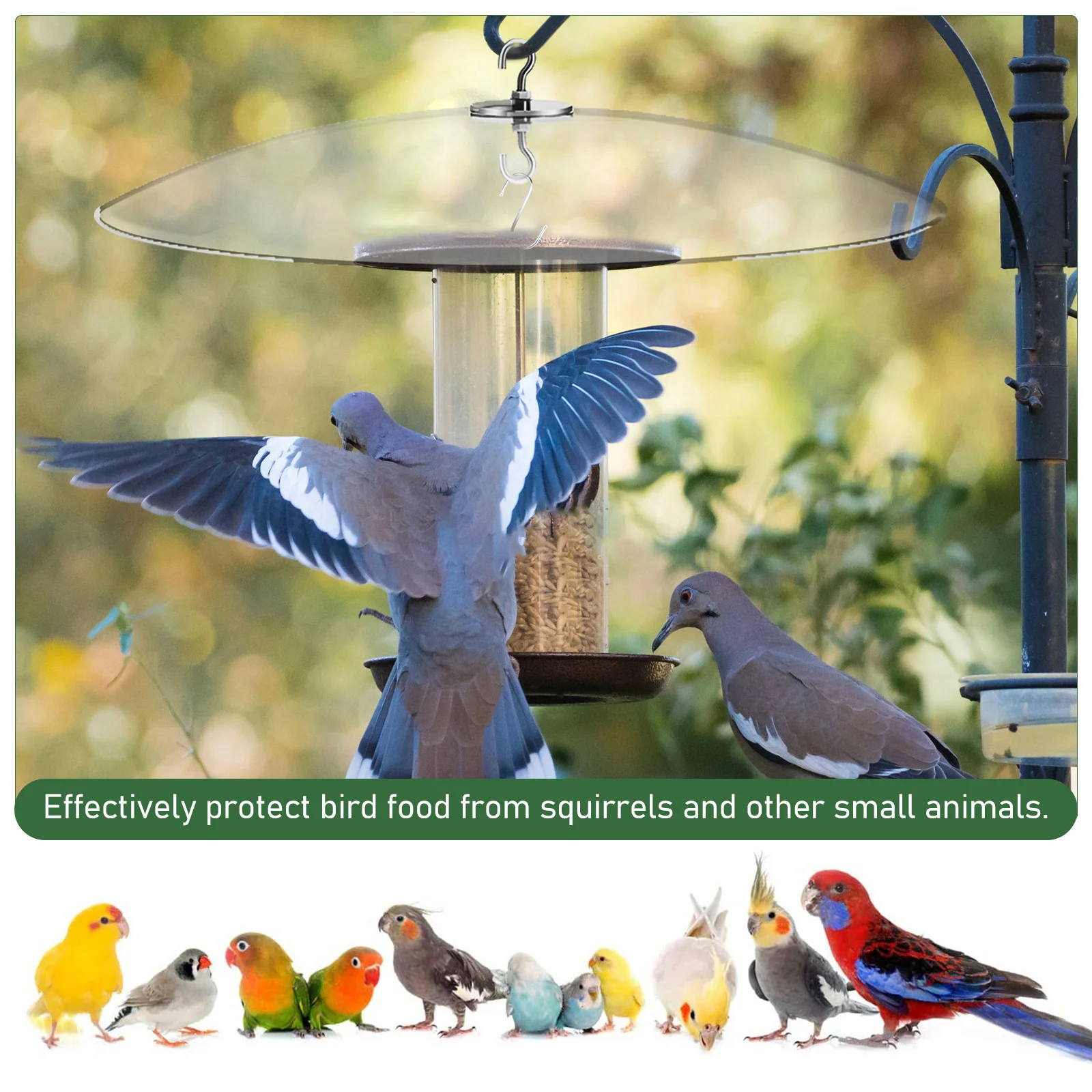 

Squirrel Baffle for Bird Feeder Large Clear Cover Outdoor Rain Protector with Metal Hook Sturdy Weather Resistant Feeder
