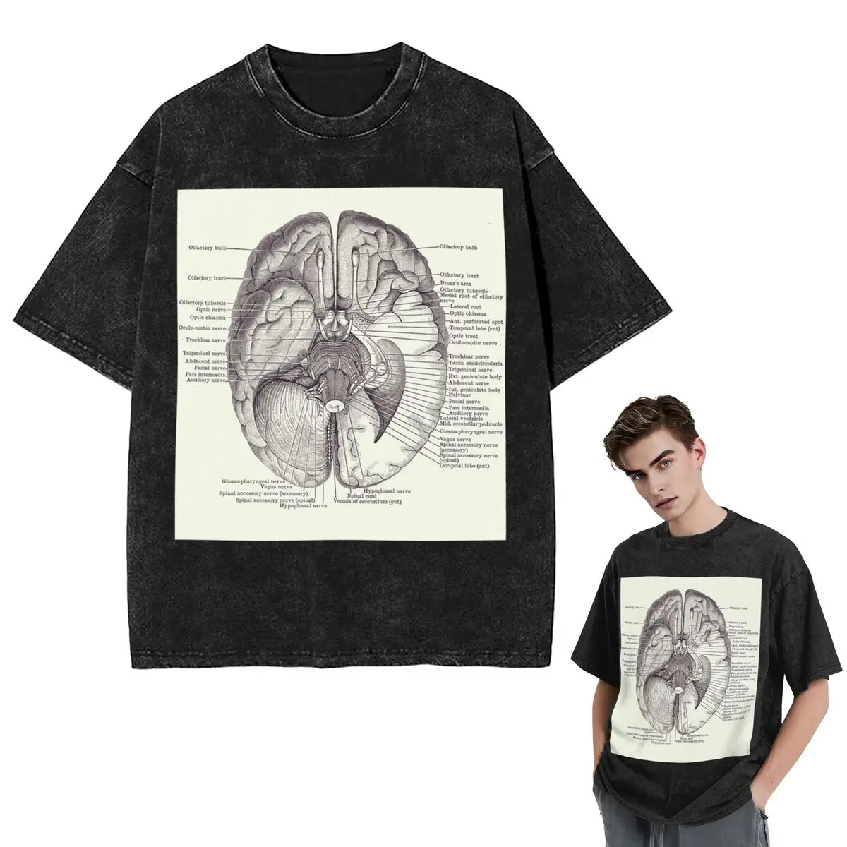 

Streetwear T-Shirts Brain Nervous System Diagram - Vintage Anatomy Washed T Shirt Short Sleeve T-Shirt Tops Tees for Men Women