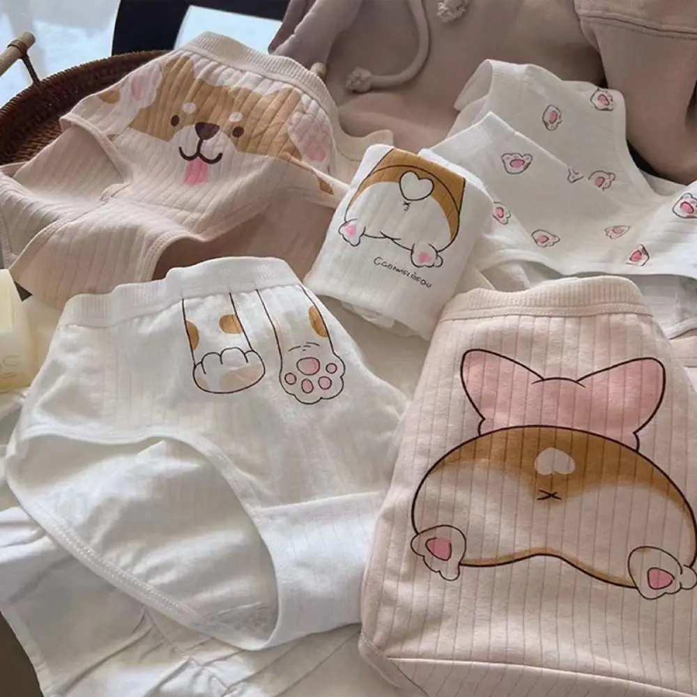 ملابس داخلية مرنة قابلة للتنفس ملابس داخلية رياضية على شكل حيوان لطيف على الطراز الكوري ملابس داخلية كورجي ملابس داخلية مخططة سراويل نسائية #5