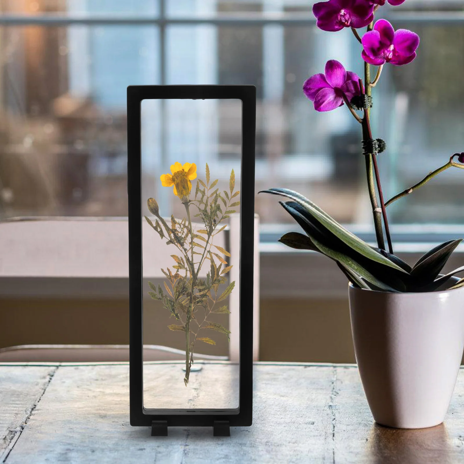 

Transparent Specimen Frame Black Case for Insect Plastic Rocks Coin Collection 3D Lightweight Jewelry
