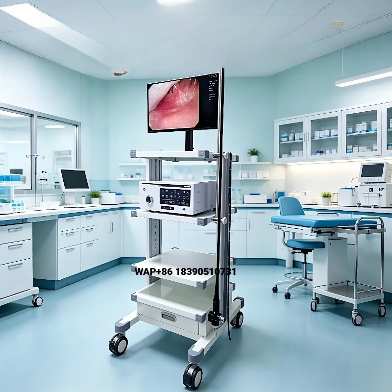 EURVET Veterinary Equipment CMOS Endoscope 8.0mm Veterinary Gastroscope Complete System with , Cart and Video Center