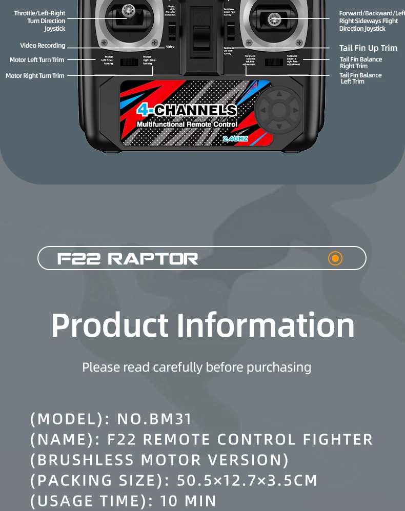 BM31 F22 Brushless RC Fighter 2.4G 4CH Remote Control Airplane EPP Foam Electric Model 490MM Biger Glider Toys for Adults