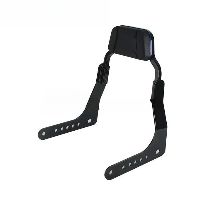 Easy Bolt-On Installation & Durable Motorcycle Low Profile Sissy Bar for Softail Low Rider S FXLR FXLRS 2018-2025