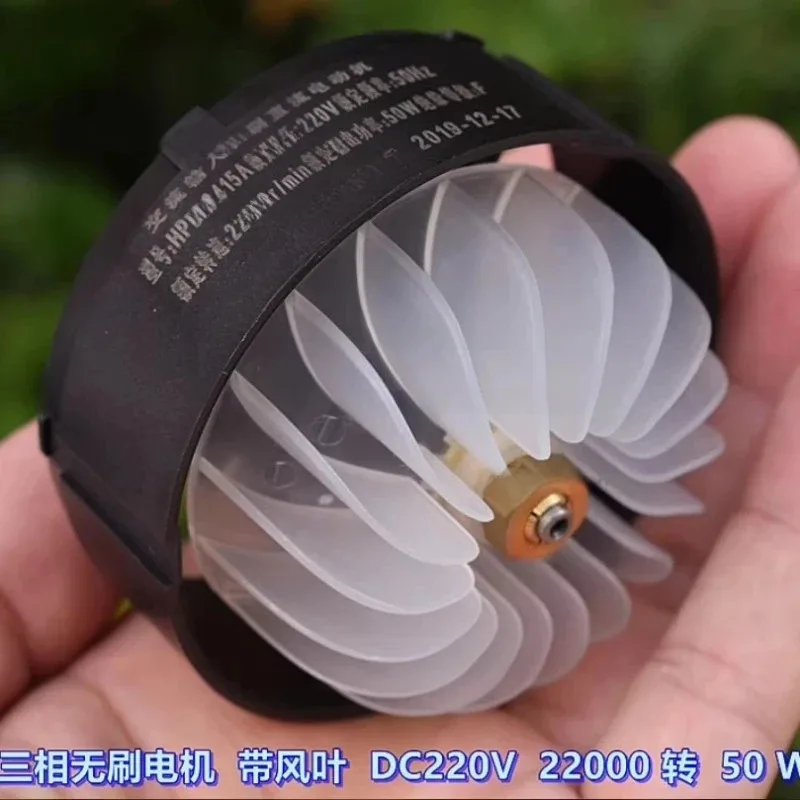 

50 Вт 220 В высоковольтный бесщеточный двигатель для фена с шарикоподшипником и приводом