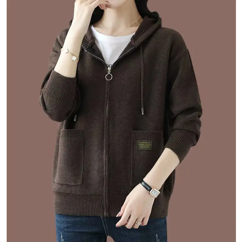 Solid Color Hooded Wool Knitted Cardigan Women 2024 Spring Clothes Loose Sweater Long Sleeve Tops Zipper Knitwears Coat